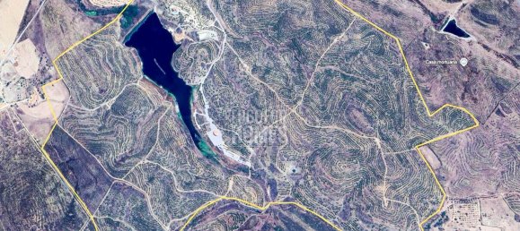 11 bedrooms House in Mertola, Portugal No. 44012 33