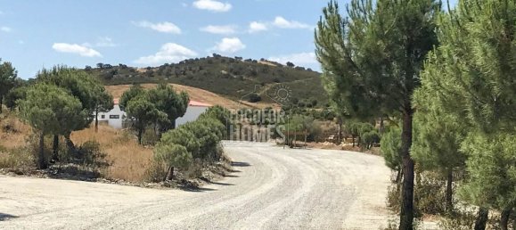 11 bedrooms House in Mertola, Portugal No. 44012 25