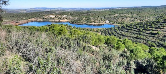 11 bedrooms House in Mertola, Portugal No. 44012 30