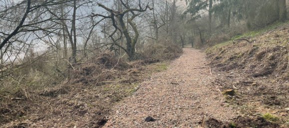 Земельный участок в Висбаден, Германия № 291608 6