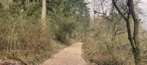 Земельный участок в Висбаден, Германия № 291608 5