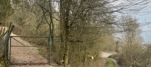 Земельный участок в Висбаден, Германия № 291608 4