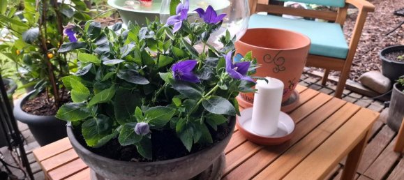 3 bedrooms House in Zollernalbkreis, Germany No. 307652 19