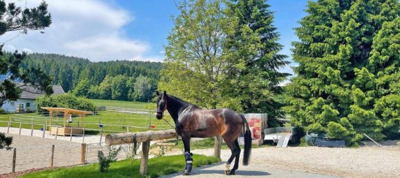 11-salle Maison à Volkermarkt, Austria No. 182858 6