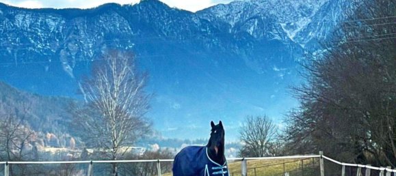 11-salle Maison à Volkermarkt, Austria No. 182858 9
