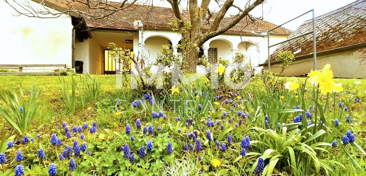 1 bedroom House in Rechnitz, Austria No. 187682