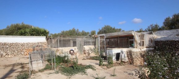 Grundstück in Mahon, Spain 2700m², Nr. 2010 8