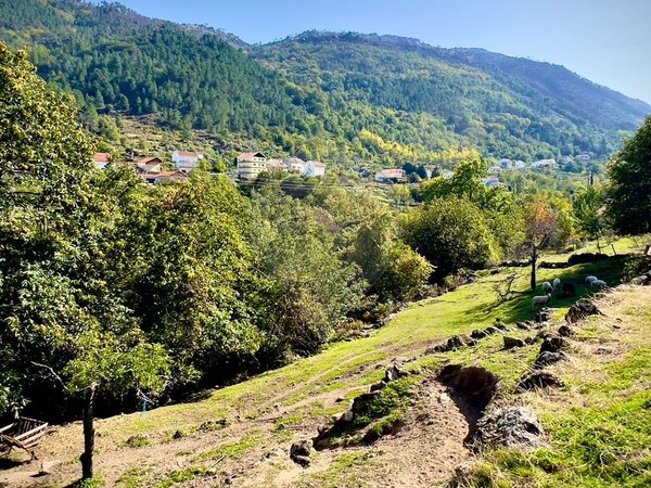 Grundstück in Manteigas, Portugal 10179m², Nr. 78463