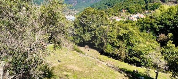 Grundstück in Manteigas, Portugal 10179m², Nr. 78463 2