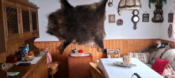 Земельный участок в Рудные Горы, Германия № 258700 9