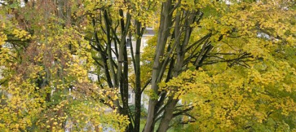 2 Schlafzimmer Wohnung in Kassel, Germany, Nr. 364955 15