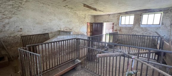 3-Zimmer Haus in Heiligenkreuz im Lafnitztal, Austria, Nr. 54864 14