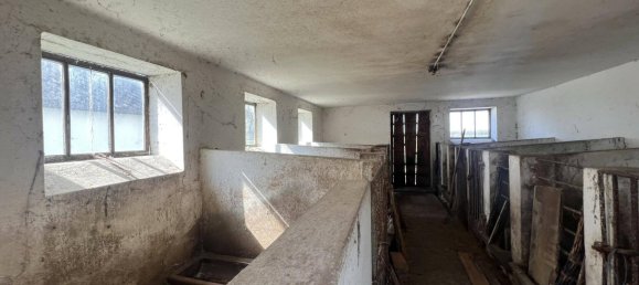 3-Zimmer Haus in Heiligenkreuz im Lafnitztal, Austria, Nr. 54864 31