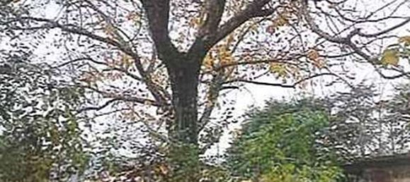 3 bedrooms Apartment in Perugia, Italy No. 377493 28