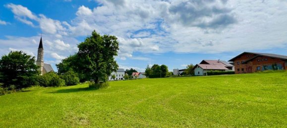 Terrain à Gilgenberg am Weilhart, Austria No. 166852 4