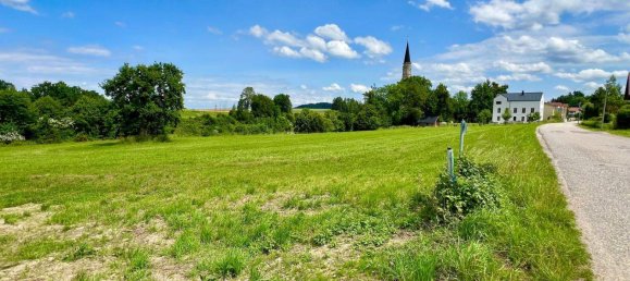 Terrain à Gilgenberg am Weilhart, Austria No. 166852 6