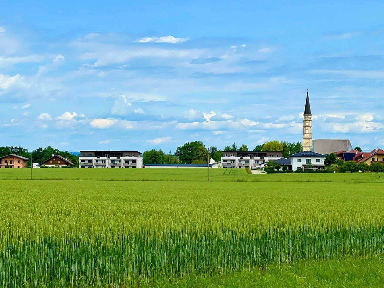 Terrain à Gilgenberg am Weilhart, Austria No. 166852