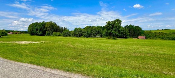 Terrain à Gilgenberg am Weilhart, Austria No. 166852 2