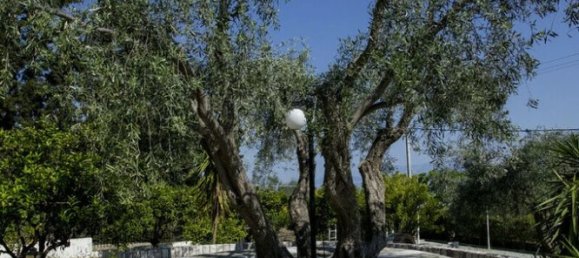 3 غرف نوم عقار تجاري في Euboea, Greece رقم 54727 18