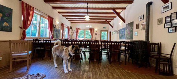 Propiedad comercial de 7 habitaciónes en Baden, Austria No. 223189 14