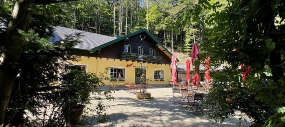 Propiedad comercial de 7 habitaciónes en Baden, Austria No. 223189 35