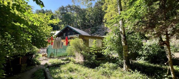 Propiedad comercial de 7 habitaciónes en Baden, Austria No. 223189 32