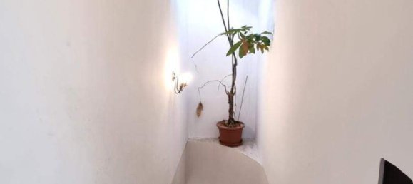 Дом с 7 комнатами в Тулльнербах, Австрия № 132656 15