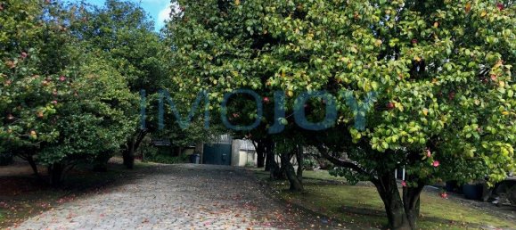 7 bedrooms Castles in Vila Nova de Gaia, Portugal No. 50989 16