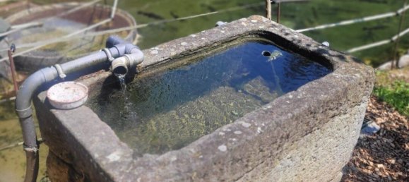  Land in Sierning, Austria No. 135021 5