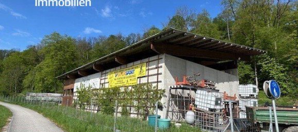  Land in Sierning, Austria No. 135021 20