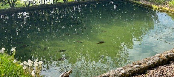  Land in Sierning, Austria No. 135021 2