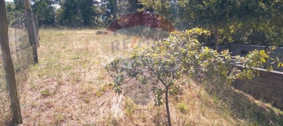  قطعة أرض في Vouzela, Portugal 725متر مربع رقم 42434 6