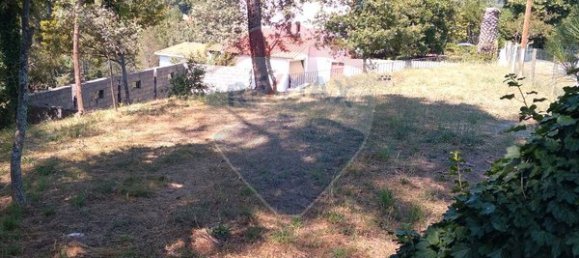  قطعة أرض في Vouzela, Portugal 725متر مربع رقم 42434 2