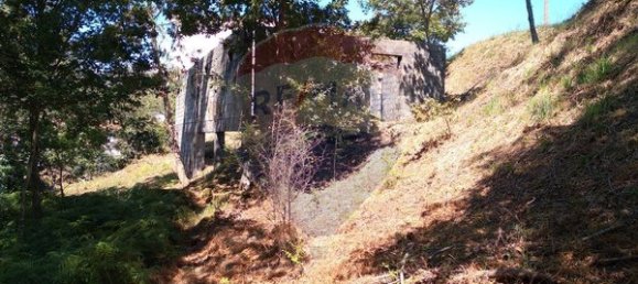  قطعة أرض في Vouzela, Portugal 725متر مربع رقم 42434 14