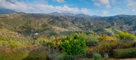 3 bedrooms Penthouse in Marbella, Spain No. 94882 29