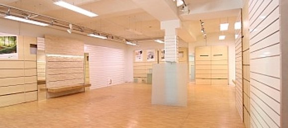 550m² Building in Feldkirchen in Karnten, Austria No. 210826 4