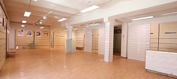 550m² Building in Feldkirchen in Karnten, Austria No. 210826 3