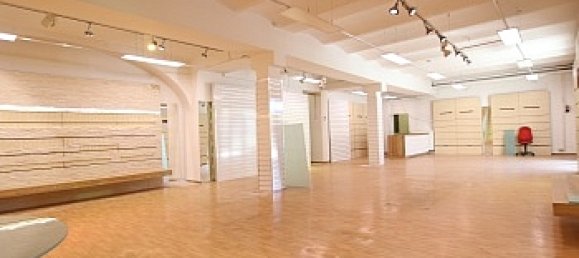 550m² Building in Feldkirchen in Karnten, Austria No. 210826 6