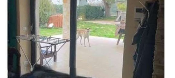 Вилла с 6 комнатами в Кастеллана Гротте, Италия № 268059 6