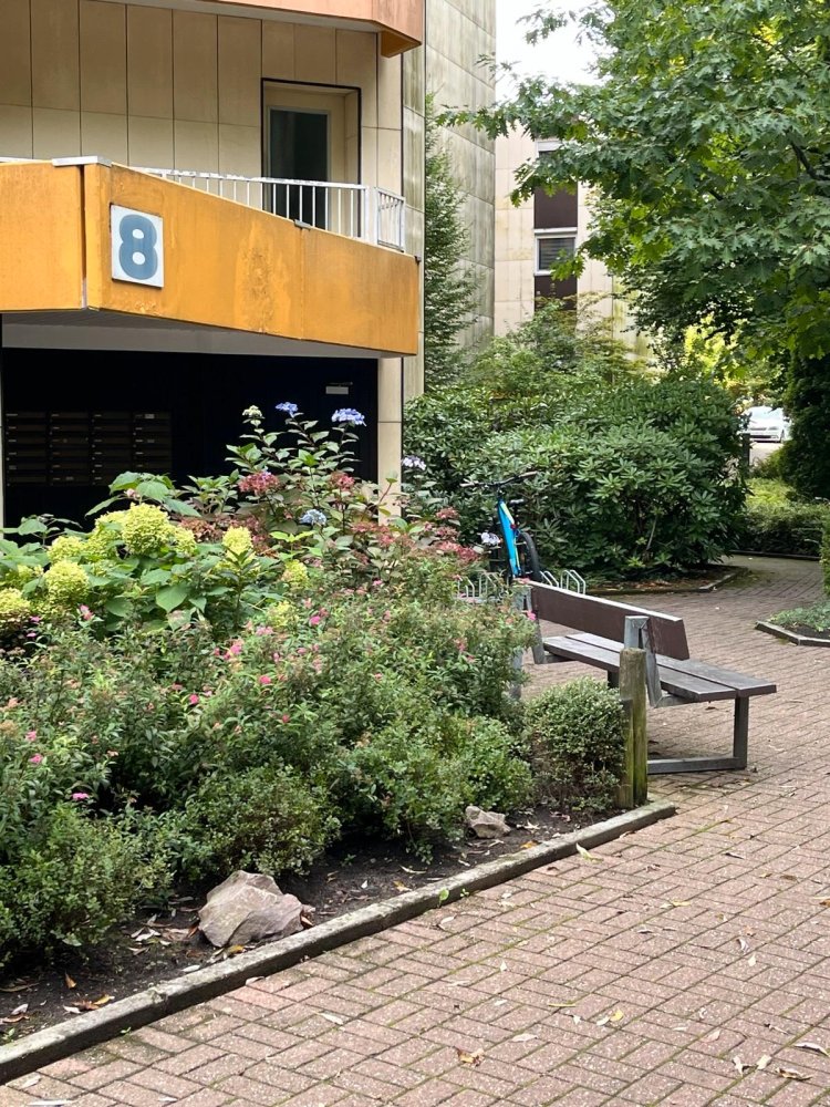 Estudio en Saarlouis, Germany No. 293839