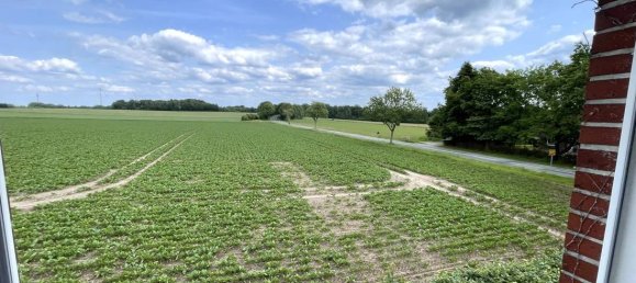 1 غرف نوم منزل في Harburg, Germany رقم 177980 35