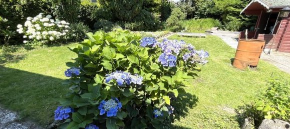 1 غرف نوم منزل في Harburg, Germany رقم 177980 12