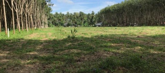 10956m² Commercial property in Khok Kloi, Thailand No. 8219 3