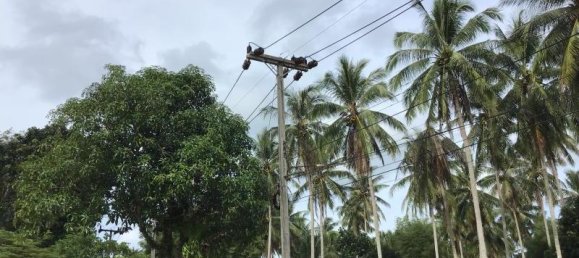 10956m² Commercial property in Khok Kloi, Thailand No. 8219 5