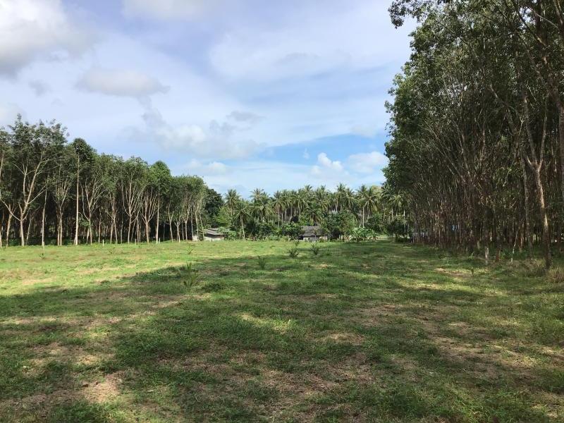 10956m² Commercial property in Khok Kloi, Thailand No. 8219