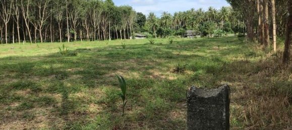 10956m² Commercial property in Khok Kloi, Thailand No. 8219 6