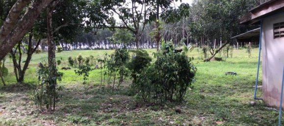 10956m² Commercial property in Khok Kloi, Thailand No. 8219 8