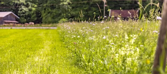 Terreno en Garmisch-Partenkirchen, Germany No. 248867 7