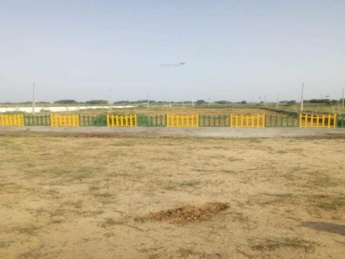  Land in Noida, India No. 65743