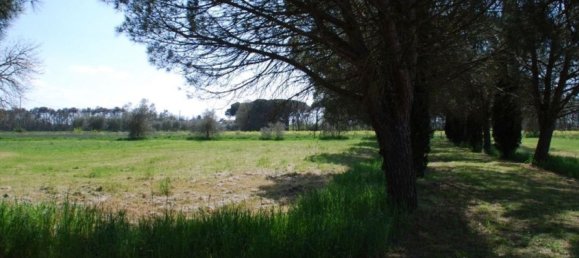 12-Zimmer Haus in Castiglione del Lago, Italy, Nr. 134769 18